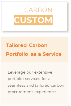 Carbon custom - ENGIE Global Energy Management & Sales