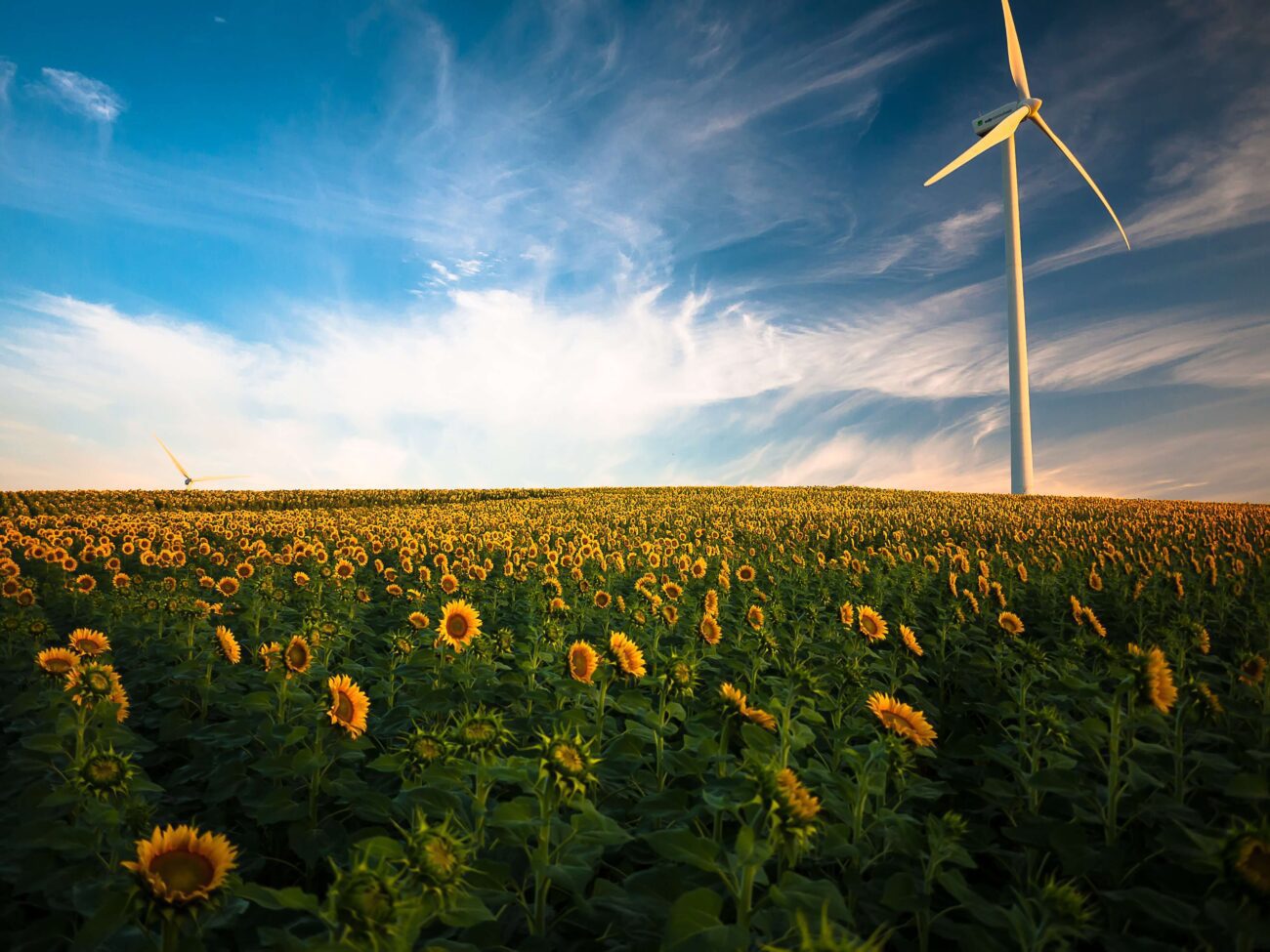 image of the post ENGIE and Google Sign 24/7 Carbon-Free Energy Supply Agreement in Germany and Strengthen Existing Collaboration