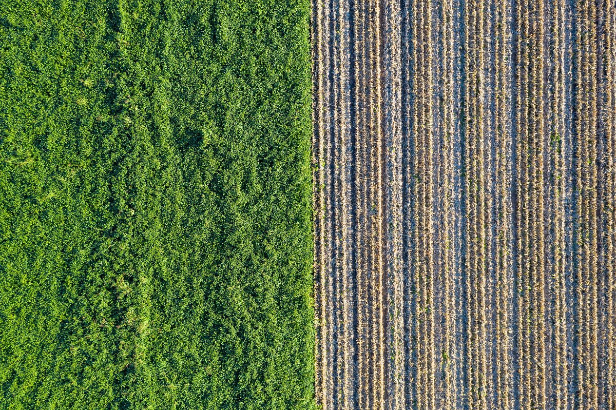 image of the post Google announces its biggest corporate purchase of renewable energy in history, including 92 MW energy deal in Belgium sealed with ENGIE