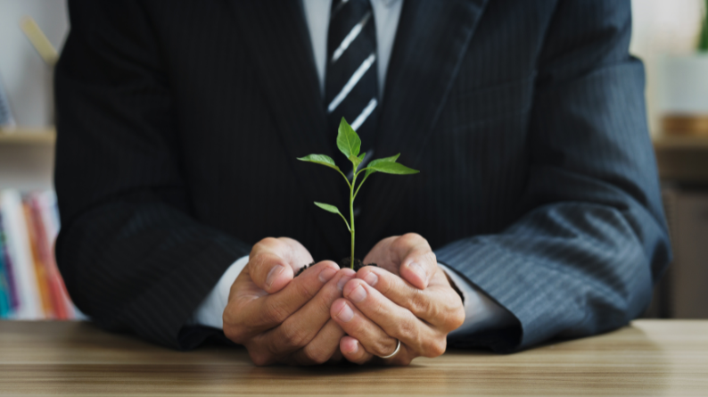 businessman holding a small plant
